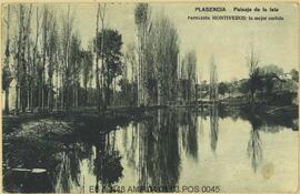 Paisaje de la Isla. Plasencia.